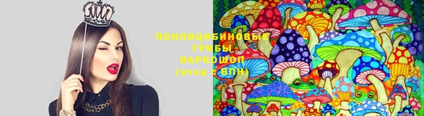 apvp Семикаракорск