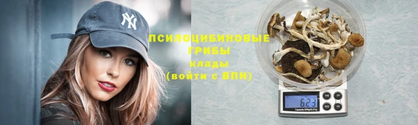 тгк Беломорск