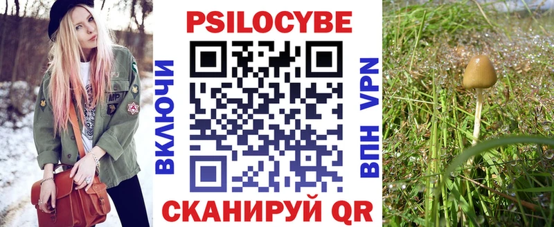 Галлюциногенные грибы Cubensis  Бородино 